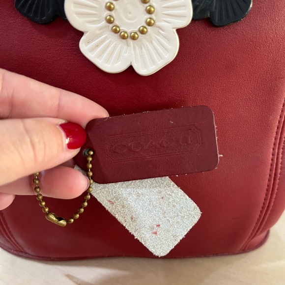 Vintage Coach with Tea Roses - Picture 6 of 8